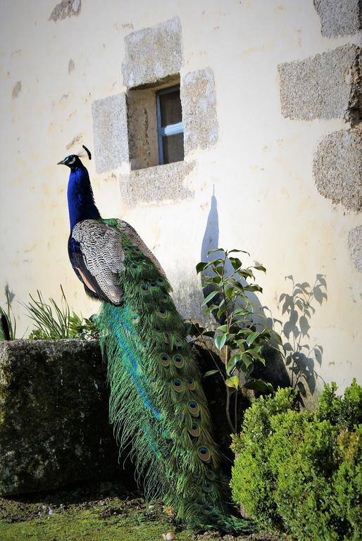 Chateau De La Chasse-Guerre Bed & Breakfast Hardanges Exterior photo